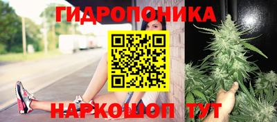 ПСИЛОЦИБИНОВЫЕ ГРИБЫ Северобайкальск